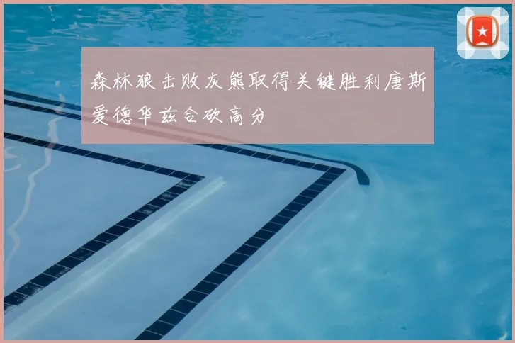 森林狼击败灰熊取得关键胜利唐斯爱德华兹合砍高分