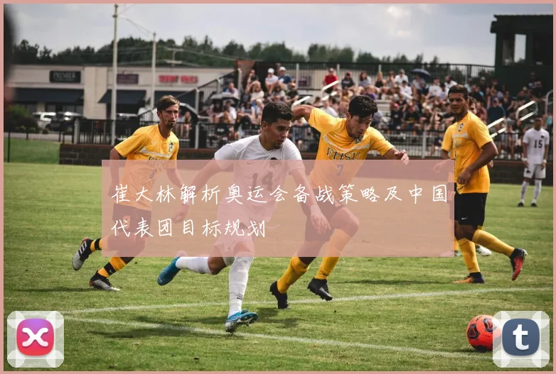 崔大林解析奥运会备战策略及中国代表团目标规划