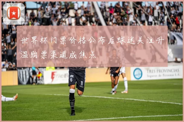 世界杯门票价格公布后球迷关注升温购票渠道成焦点
