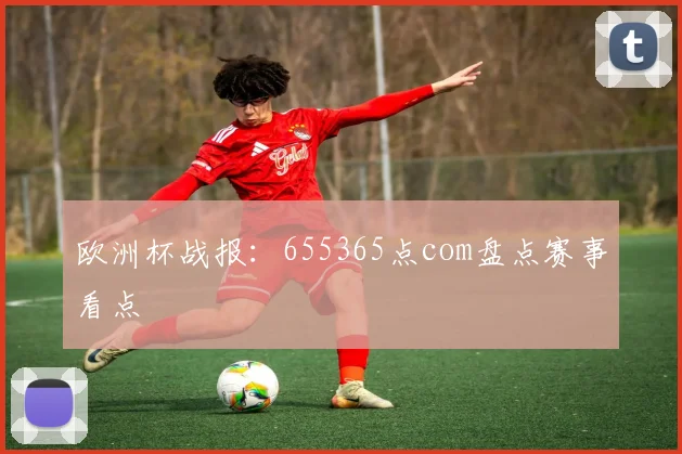 欧洲杯战报：655365点com盘点赛事看点