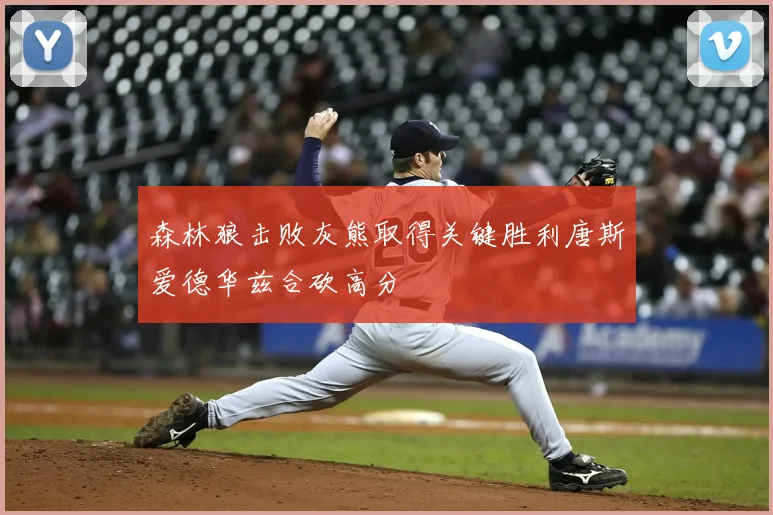 森林狼击败灰熊取得关键胜利唐斯爱德华兹合砍高分