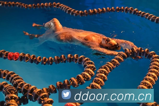 App Interface Preview